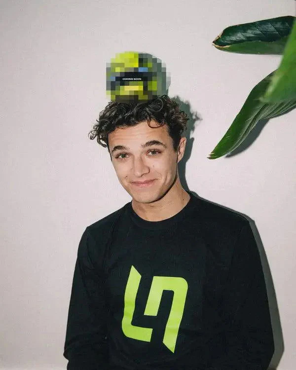 LN LONG SLEEVE TEE - Image 4